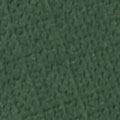 Couleur Couvercle - A23 - Vert Feuillage (papier texturé)